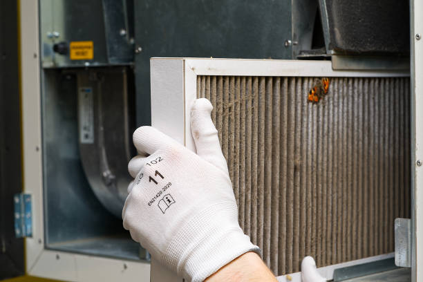 Air Duct Mold Removal in Medical Lake, WA